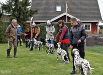 Fotoimpressionen 19. Dog Handling Seminar