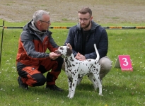 Fotoimpressionen 20. Dog Handling Seminar in Riede