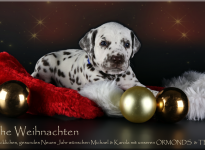 Frohe Weihnachten und ein glückliches, gesundes Neues Jahr