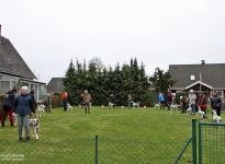 Aufstellen der Hunde im Ausstellungsring