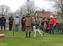 Erläuterungen zum anatomischen Aufbau des Hundes