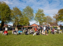 Participants at the Dog Handling Seminar in Riede 2024