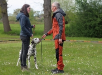 Individual training, positioning the dog