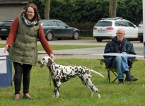 Exercises for positioning the dog