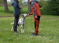 Individual training, explanations of the anatomical structure of the dog