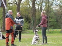 Erläuterungen zum Ausstellen der Hunde