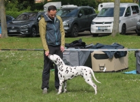 Disadvantages of lateral guidance by the dog handler