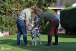 Photo Impressions 21. Dog Handling Seminar