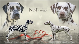 Vater: Price-Spot´s Nordic Love Potion und Mutter: Christi ORMOND Zenith of Fame