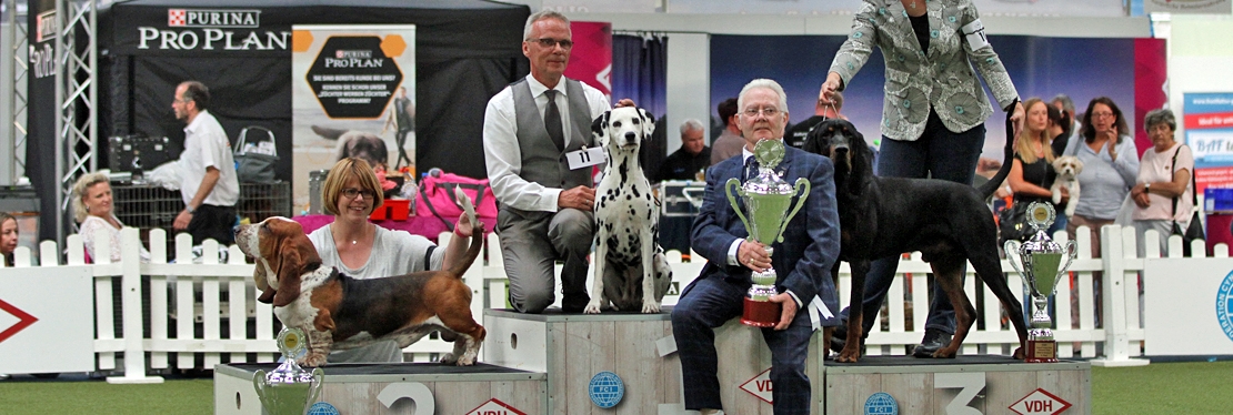 Dog Handling Presentations 2026