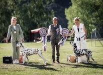 Judging in Czech Republic