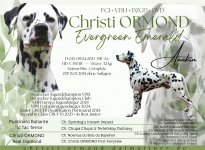 Deckung Christi ORMOND Evergreen Emerald Deckung Christi ORMOND Evergreen Emerald