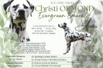 Deckung Christi ORMOND Evergreen Emerald